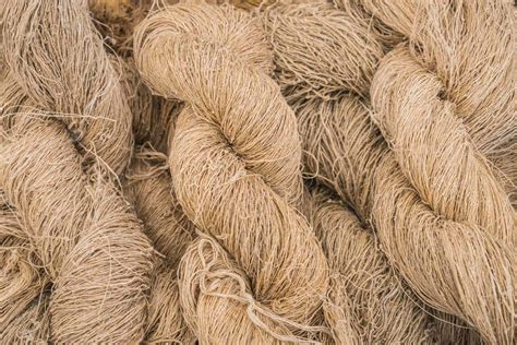  Hempen Fibre: Một Vật Liệu Dệt May Hoàn Hảo Đang Được Phục Hưng?