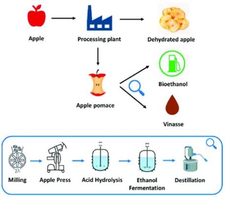 Ethanol:  Sơ lược về nhiên liệu sinh học và ứng dụng trong công nghiệp thực phẩm!