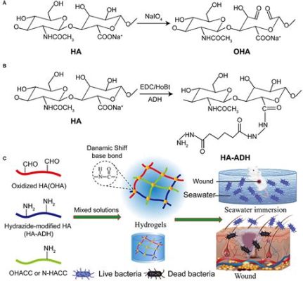 Quaternized Chitosan:  Revolutionizing Biocompatibility and Wound Healing Applications!